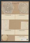 Auliscus punctatus var. circumductus Rattr (de-Toni-Nr.: Genus 171, Species 4326) Zeichnungen Sammlung Grunow Nr. 7893 (NHMW-BOT-W0377161)
